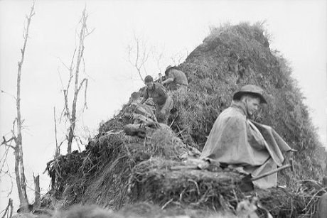 On Shaggy Ridge