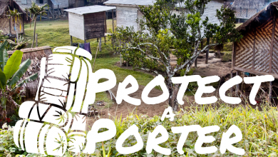Protect a porter village tile